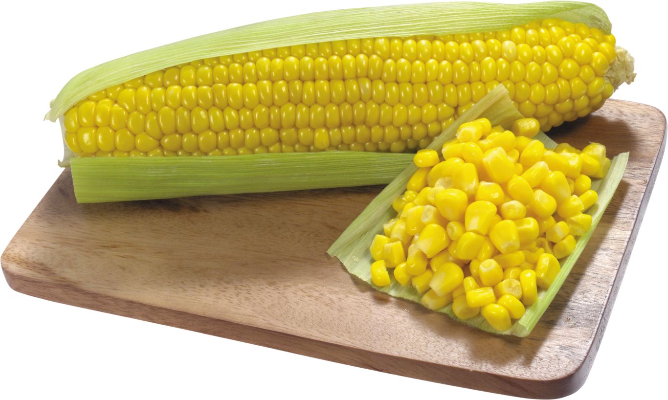 Corn PNG    图片编号:98644