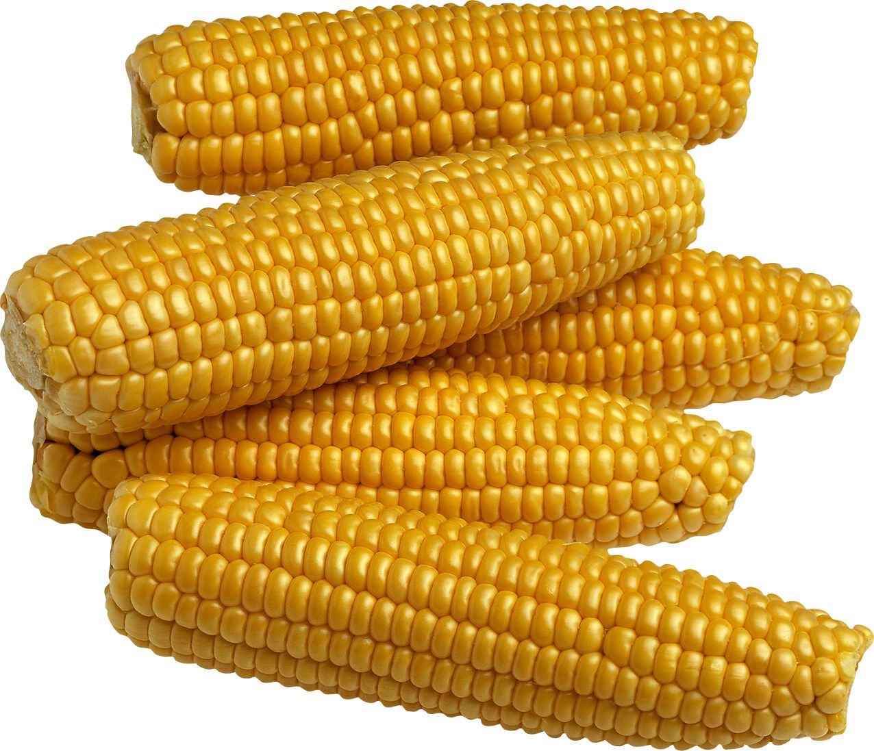 Corn PNG    图片编号:98653