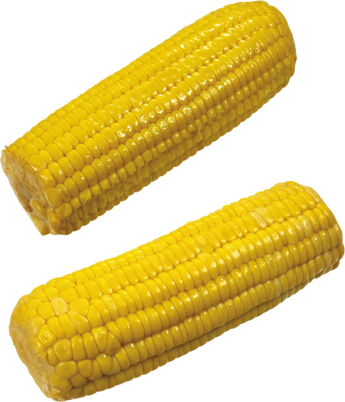 Corn PNG    图片编号:98655