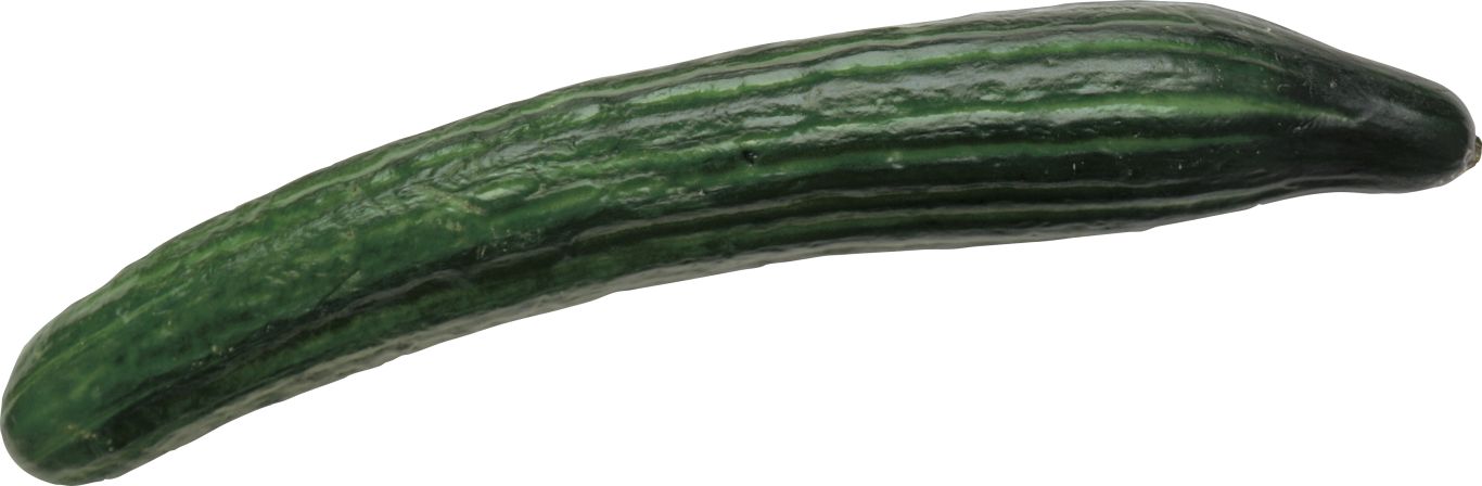 Cucumber PNG    图片编号:12600