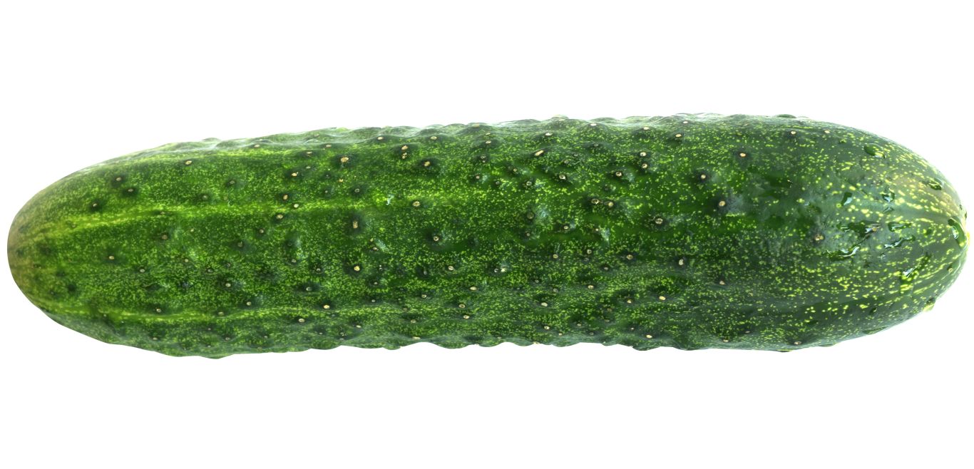 Cucumber PNG    图片编号:12601
