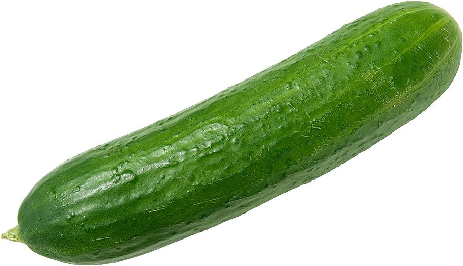 Cucumber PNG    图片编号:12602
