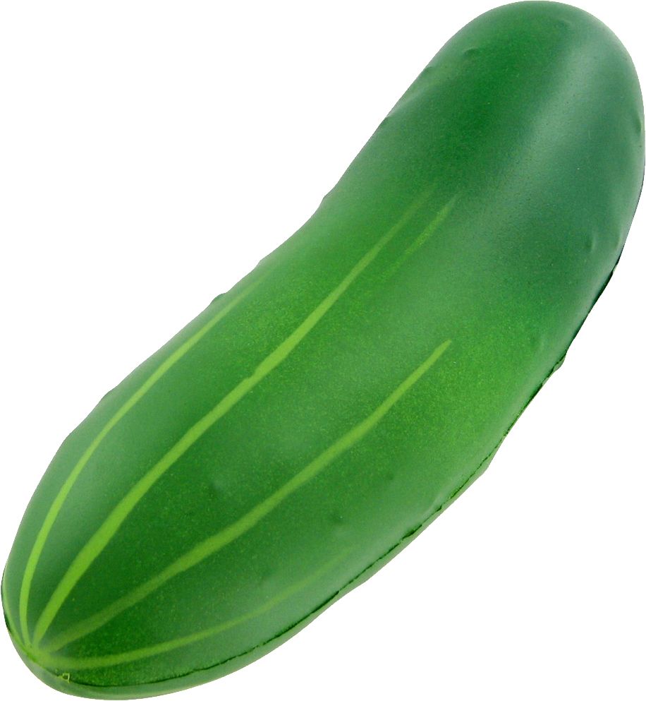 Green cucumber PNG    图片编号:12603