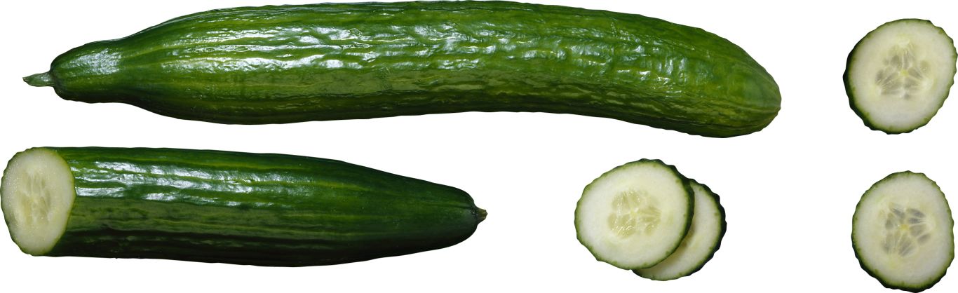 Cucumber PNG    图片编号:12609