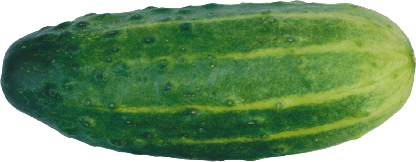 Cucumber PNG    图片编号:12610