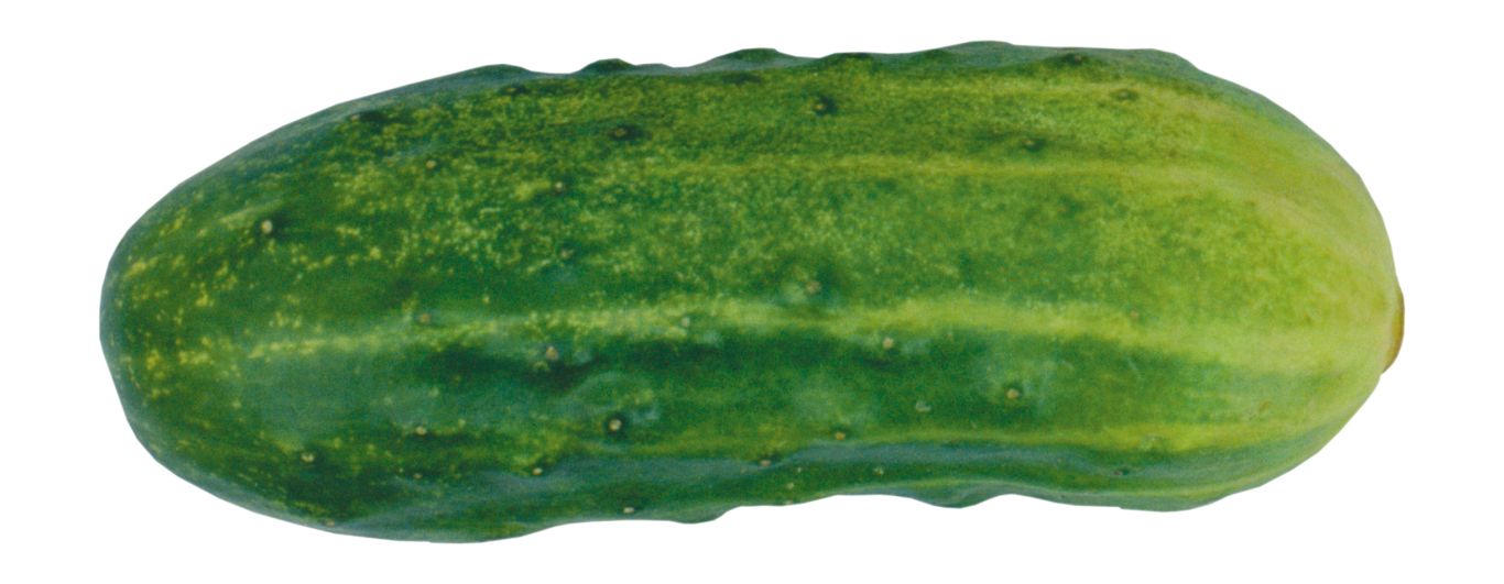 Cucumber PNG    图片编号:12611