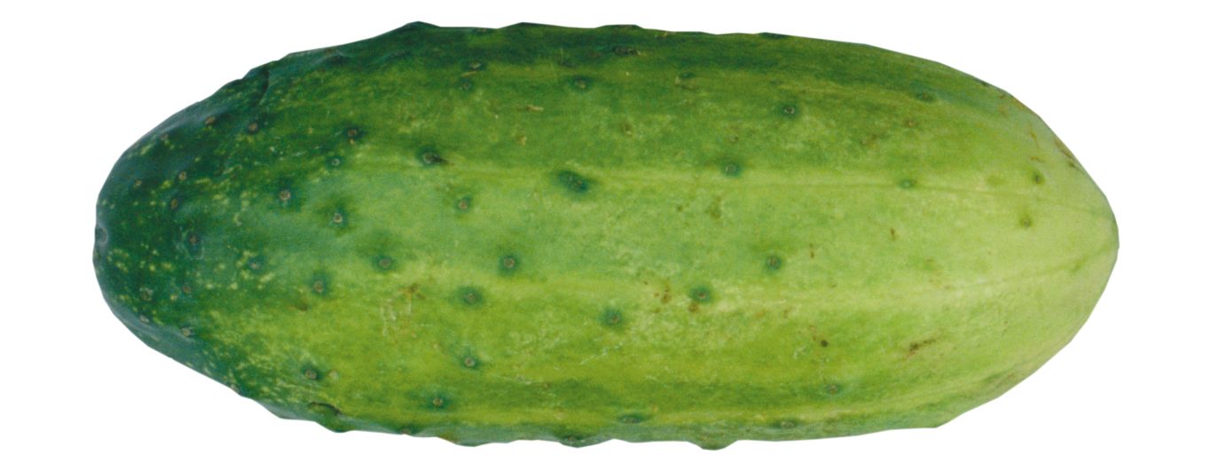 Cucumber PNG    图片编号:12612