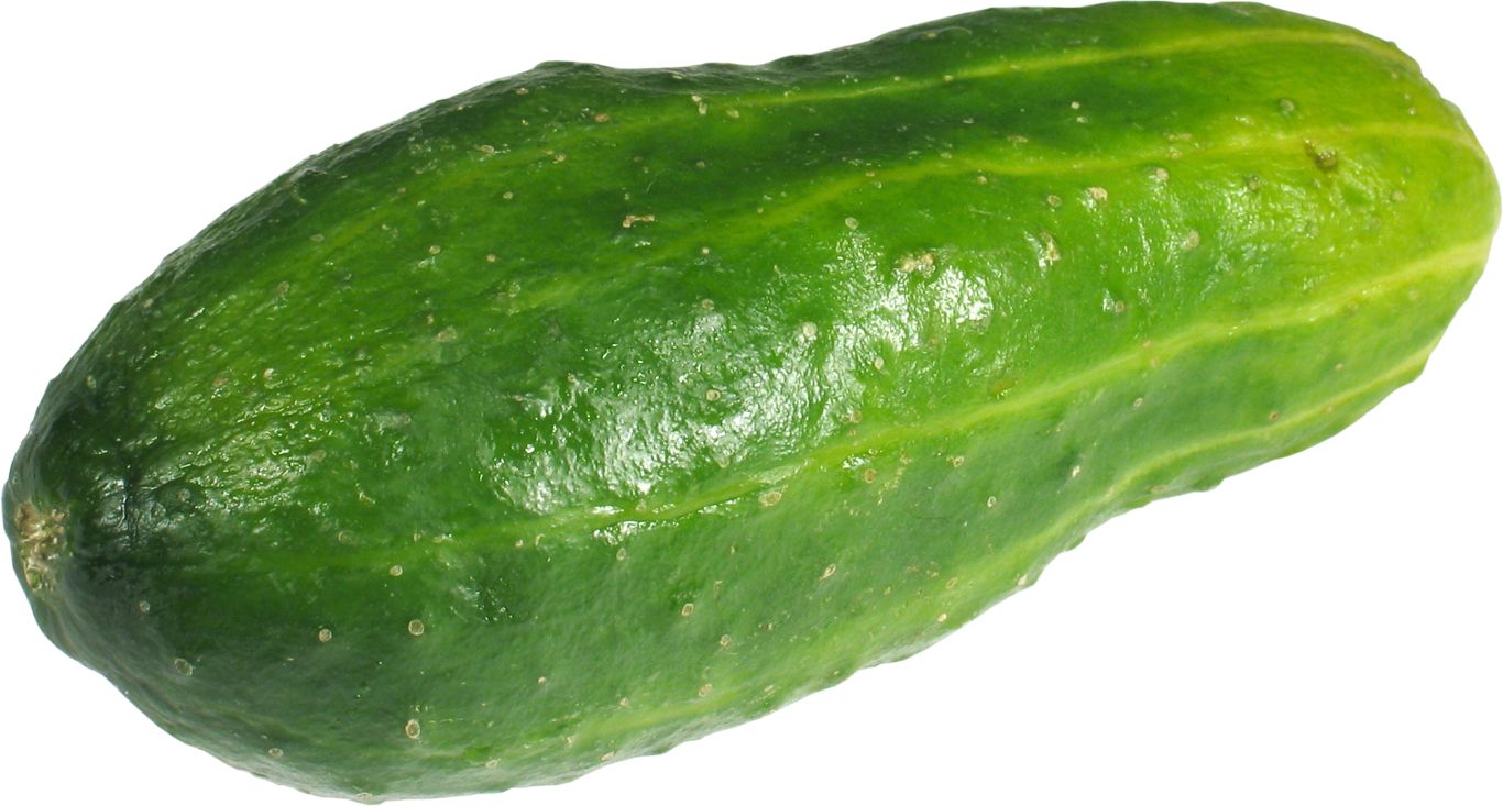 Cucumber PNG    图片编号:12616