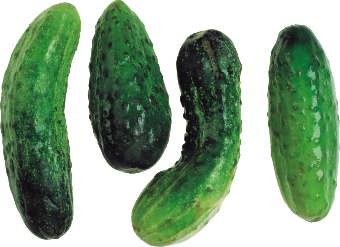 Cucumbers PNG    图片编号:12618