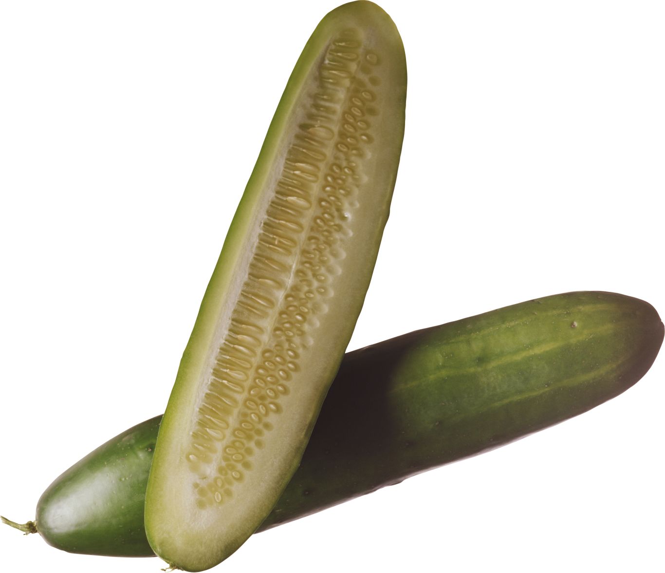 Cucumber PNG    图片编号:12622