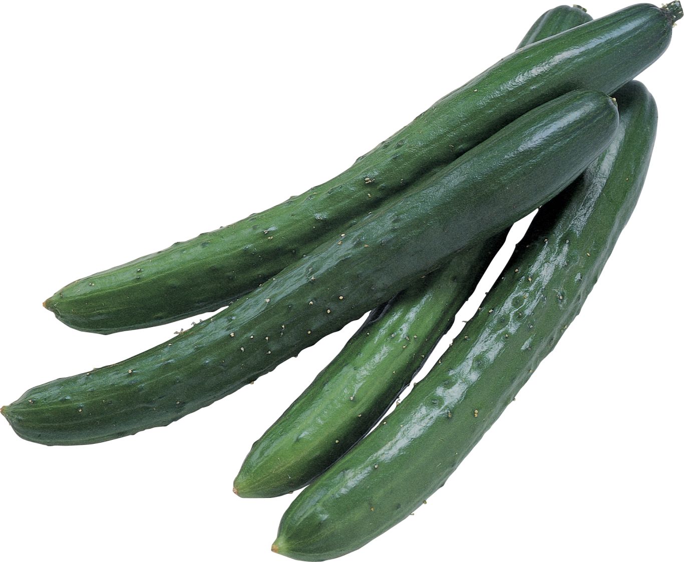 Cucumber PNG    图片编号:12626