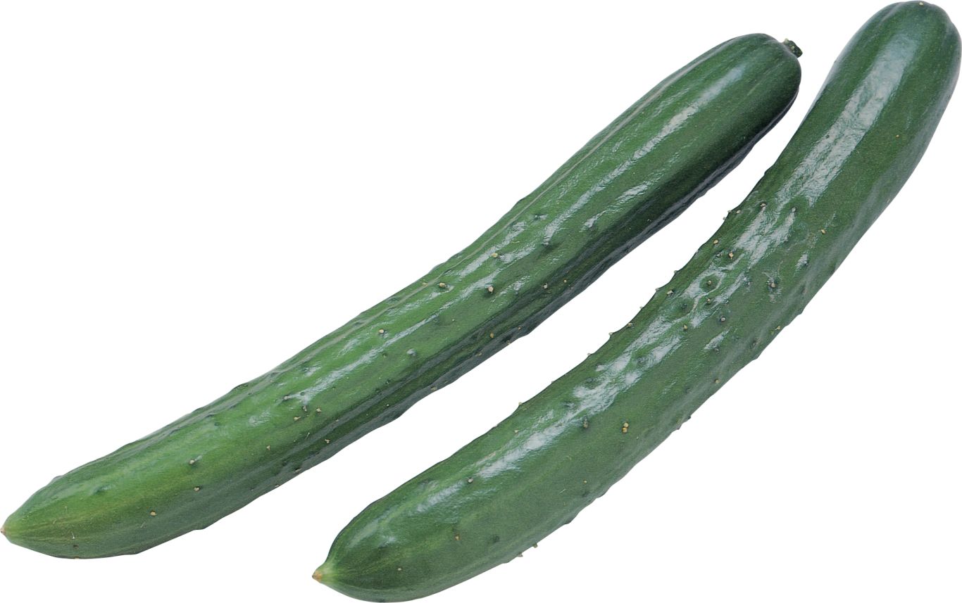 Cucumber PNG    图片编号:12627
