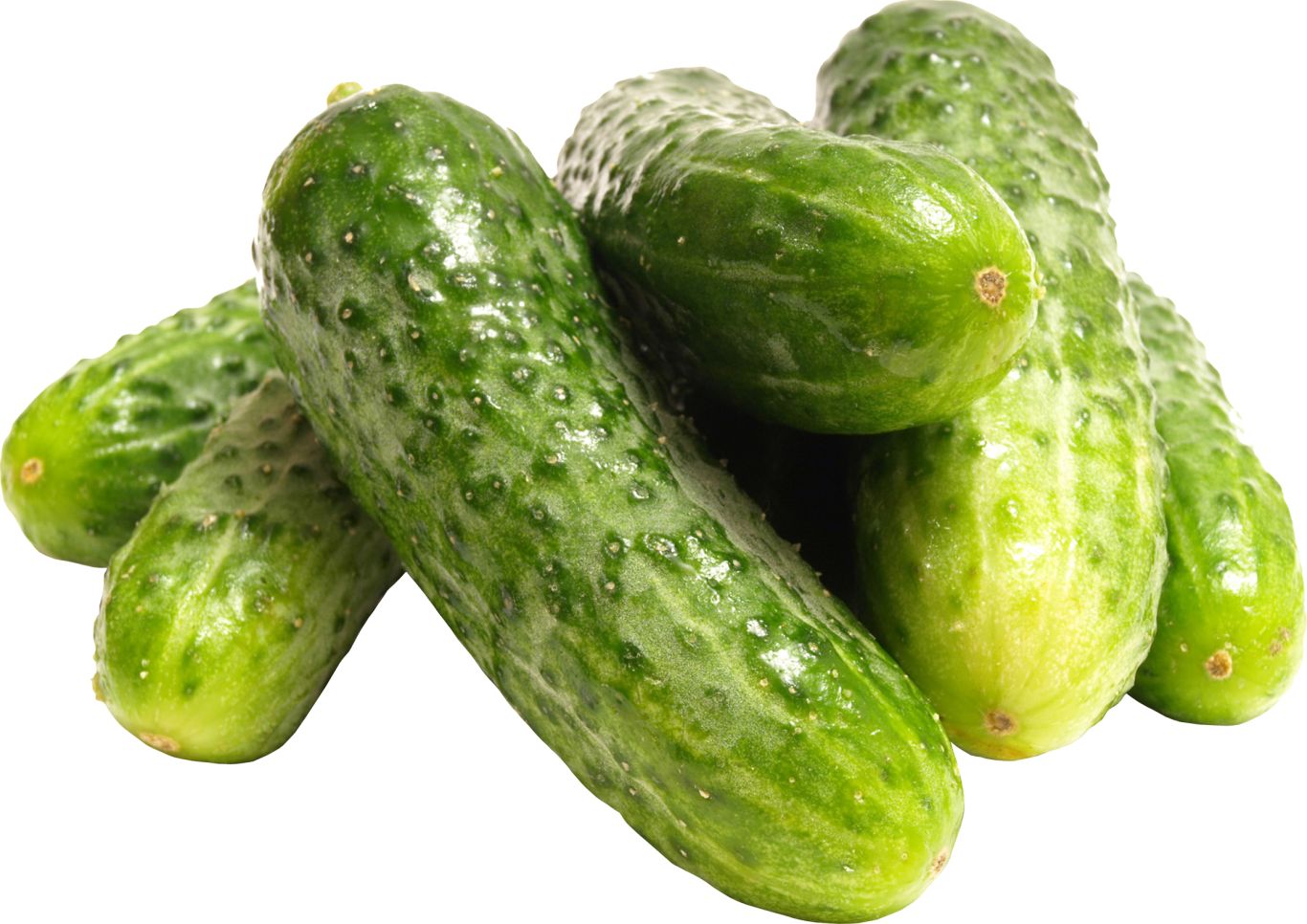 Cucumbers PNG    图片编号:12628
