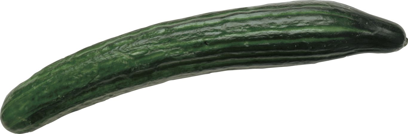Cucumber PNG    图片编号:84269