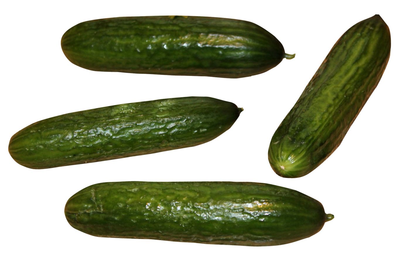 Cucumber PNG    图片编号:84272