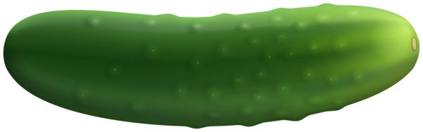 Cucumber PNG    图片编号:84275