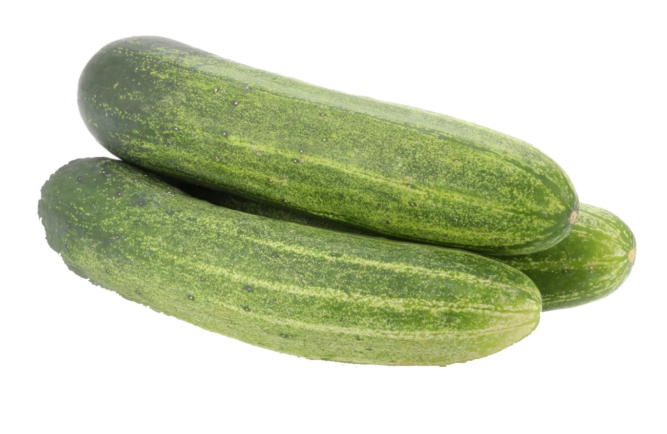 three cucumbers PNG    图片编号:84276