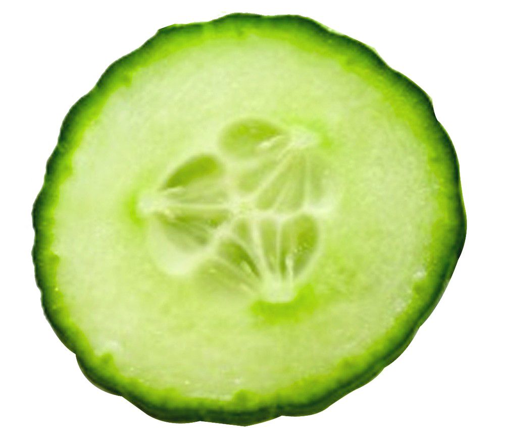 Slice cucumber PNG    图片编号:84280