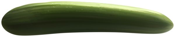 Cucumber PNG    图片编号:84282