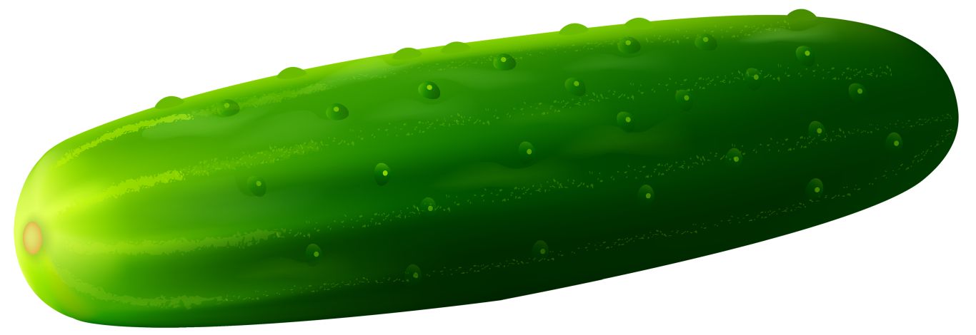 Cucumber long and big PNG    图片编号:84285