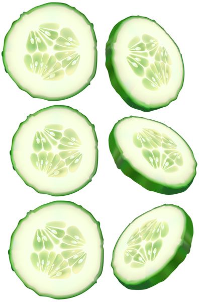 Six slices of cucumber PNG    图片编号:84287