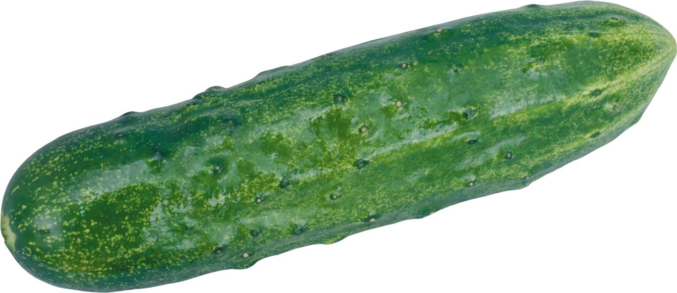 Cucumber PNG    图片编号:84289