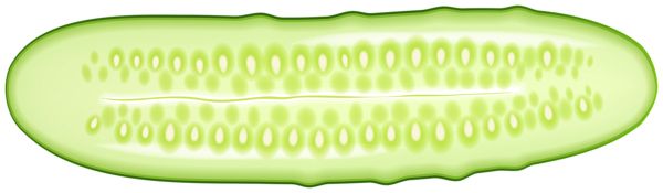 Cucumber half PNG    图片编号:84292