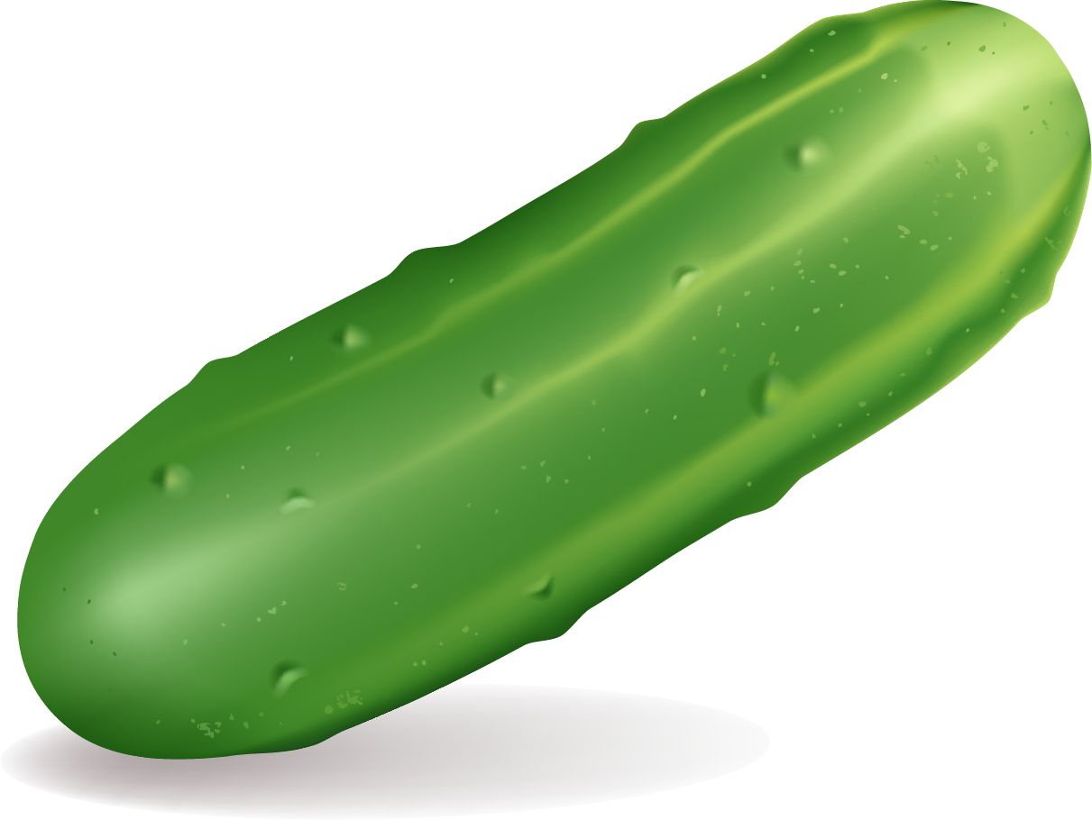 Cucumber picture PNG image    图片编号:84294
