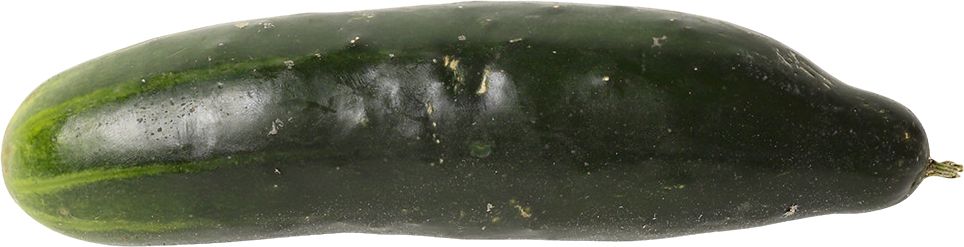 Salted cucumber PNG    图片编号:84295