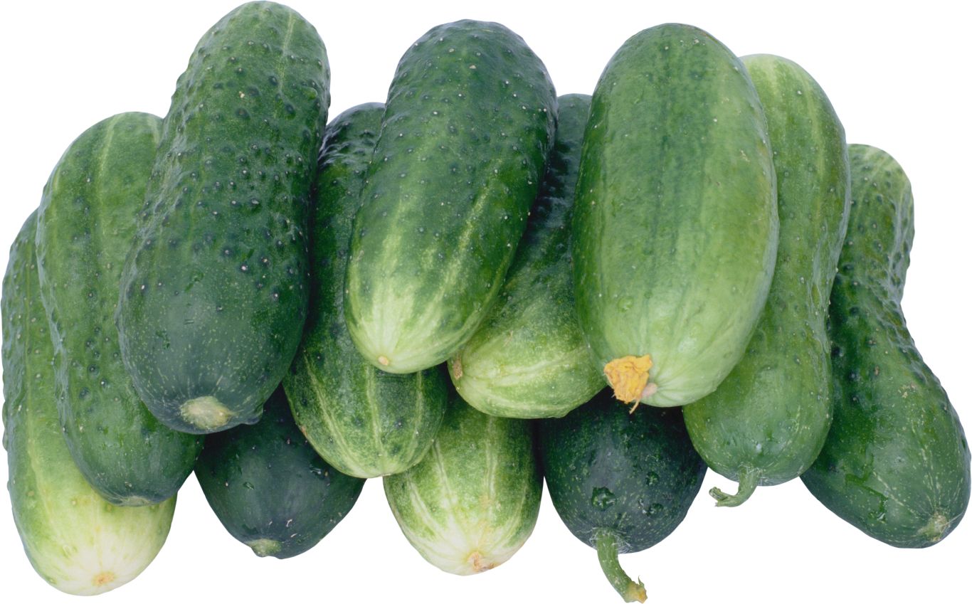Many cucumbers PNG picture    图片编号:84298