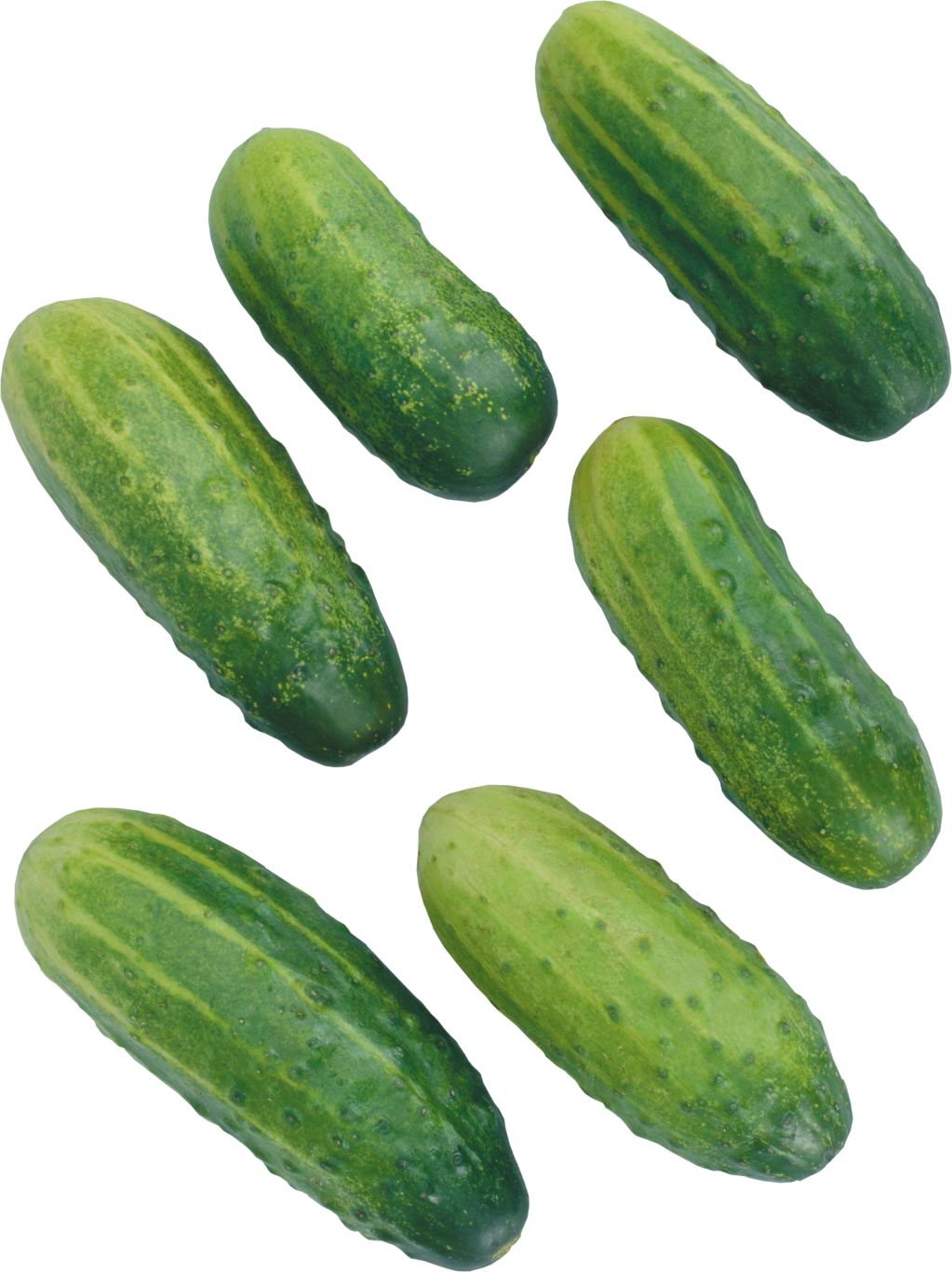 Cucumbers picture PNG    图片编号:84300
