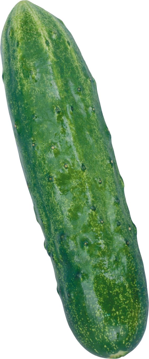Long cucumber PNG with transparent background    图片编号:84301