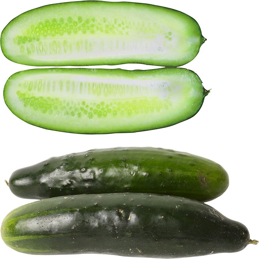 Sliced salted cucumber PNG    图片编号:84302