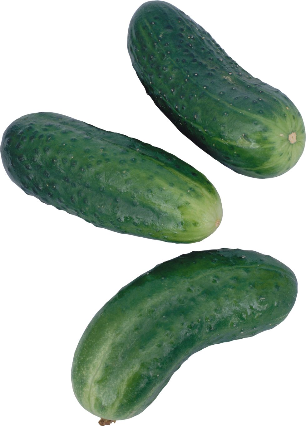 Cucumbers PNG transparent image    图片编号:84303