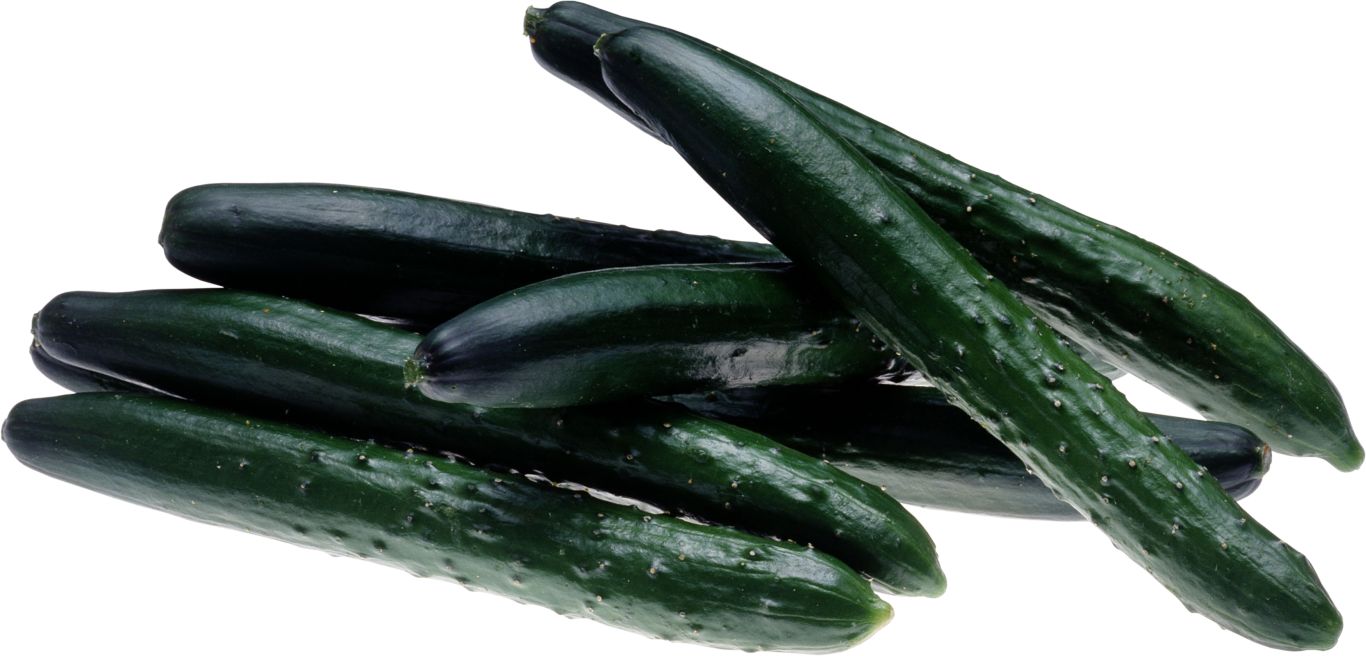 Long big cucumbers PNG    图片编号:84312