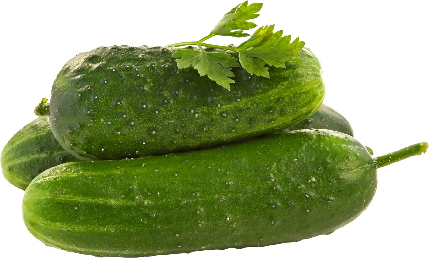 Cucumbers PNG image with trnsparent background    图片编号:84317