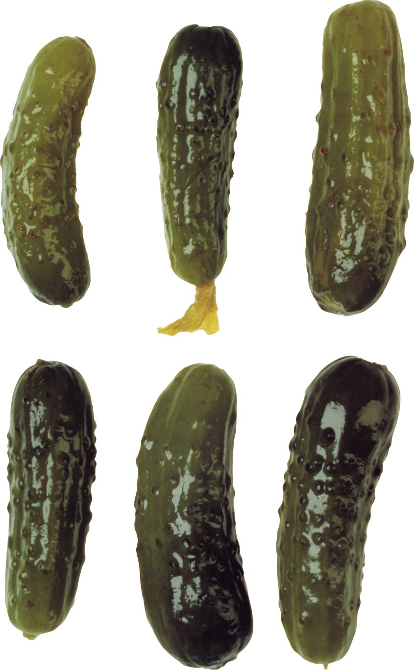 Salted cucumbers PNG    图片编号:84318
