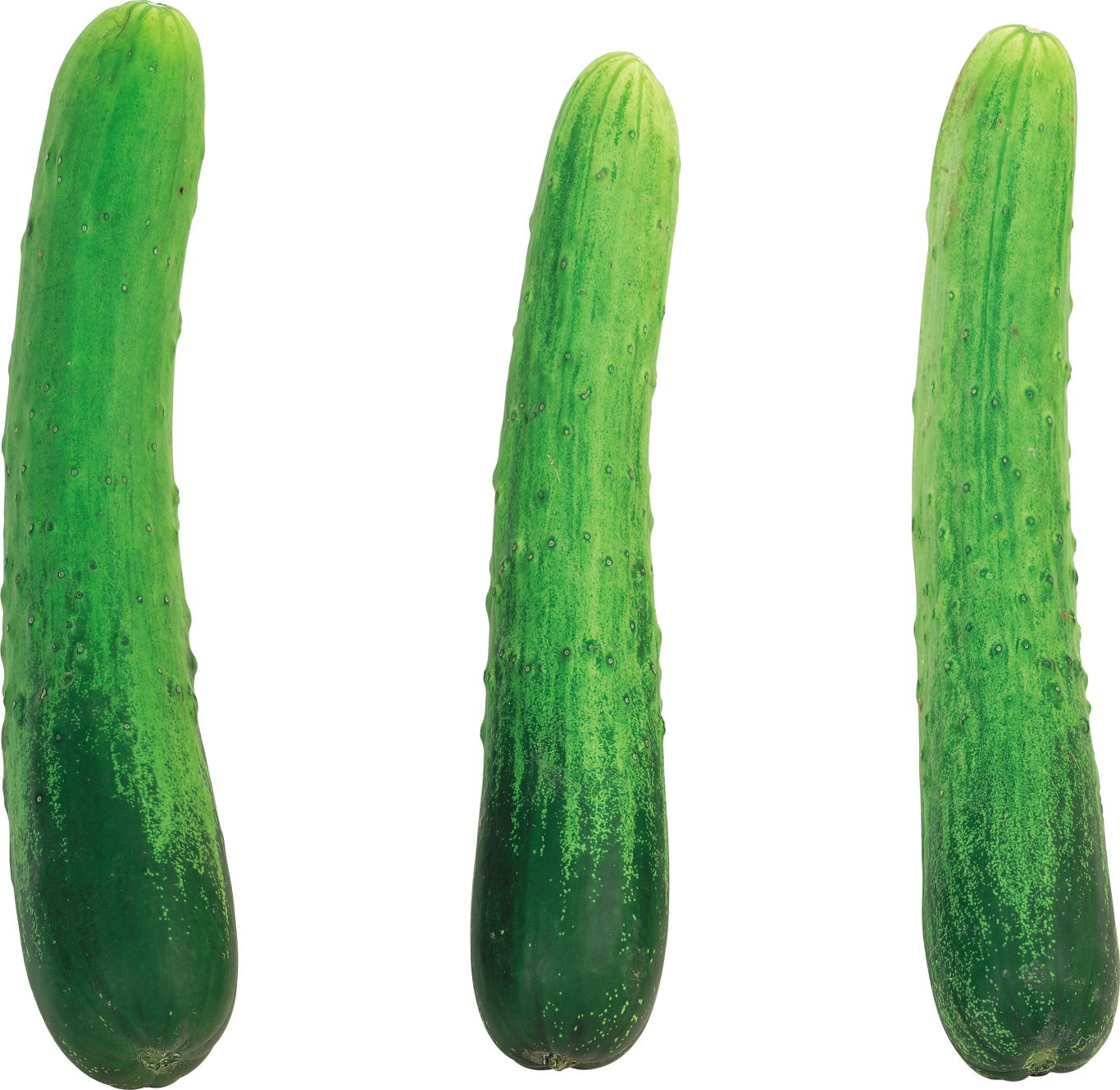 three cucumbers PNG    图片编号:84321