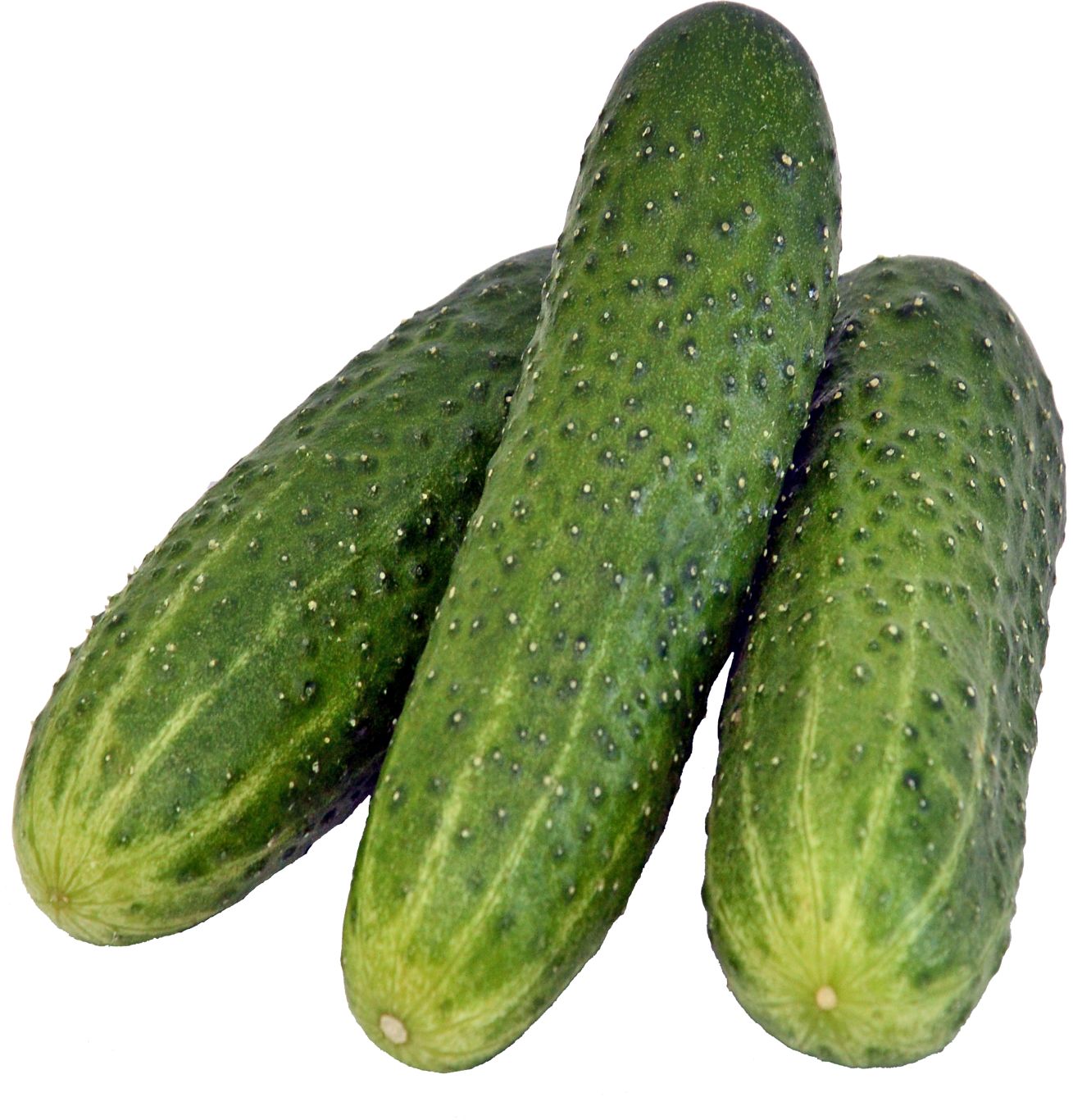 three green cucumbers PNG    图片编号:84323