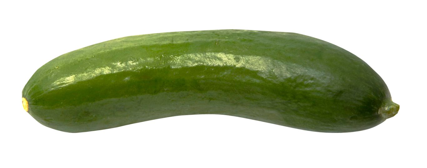 Cucumber PNG    图片编号:84324