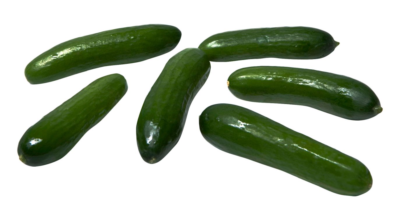 Cucumbers PNG    图片编号:84325