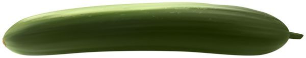 long cucumber PNG    图片编号:84326