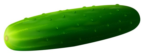 Green cucumber PNG    图片编号:84330