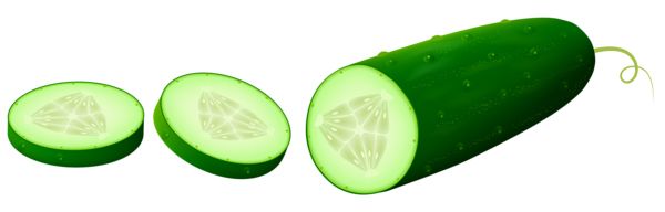 Sliced cucumber PNG    图片编号:84331