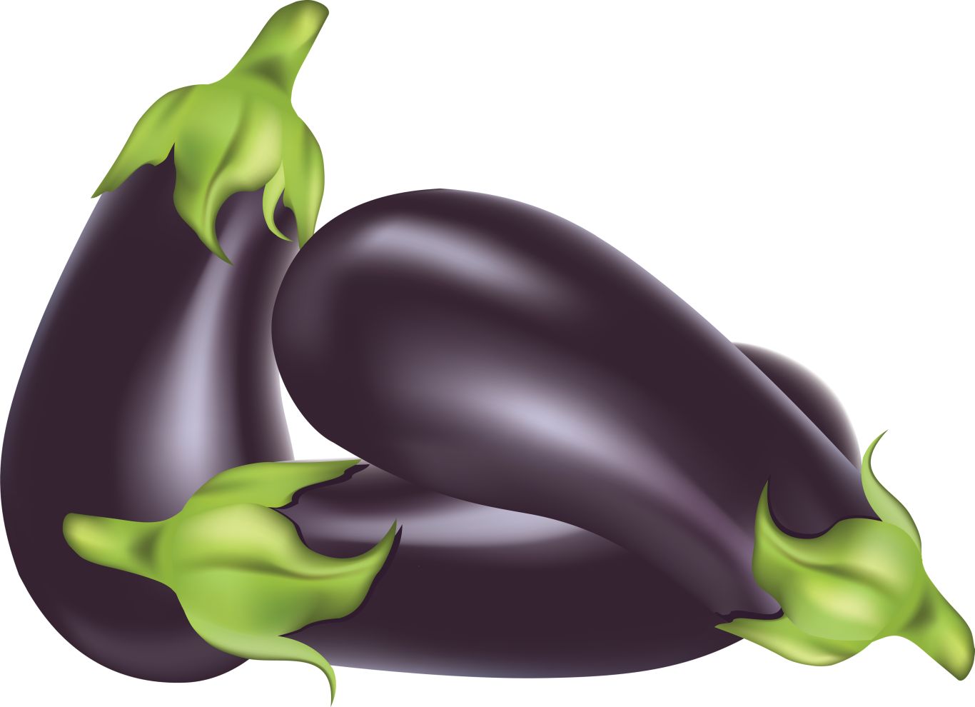 Eggplants PNG images free download    图片编号:2761