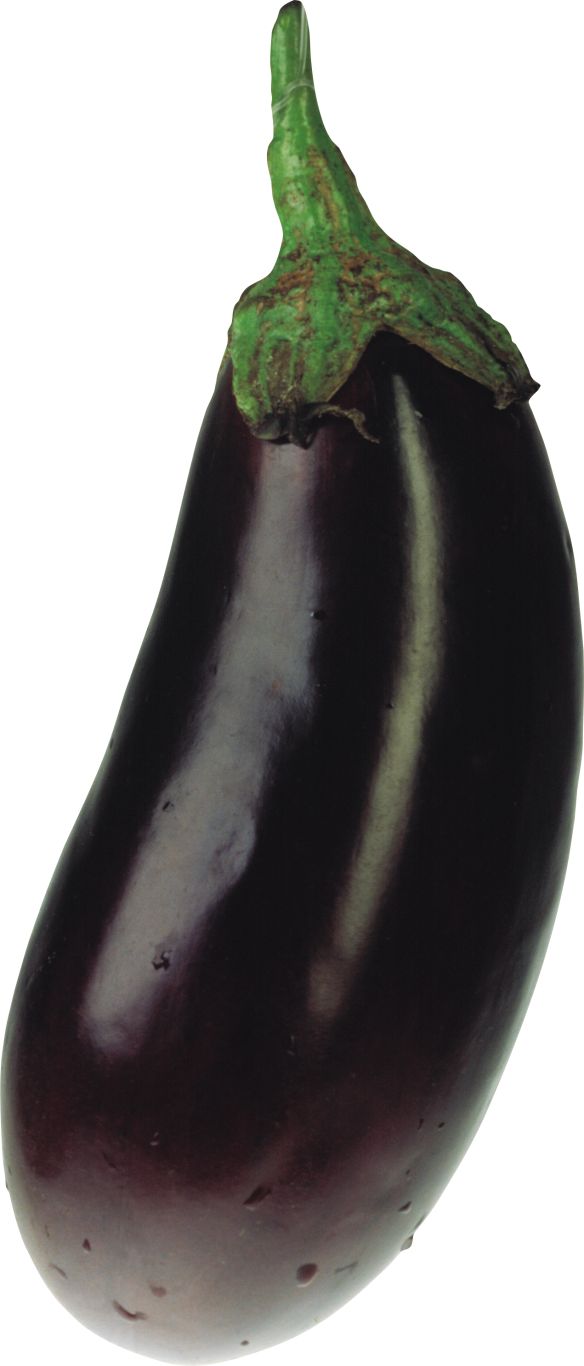 Eggplant PNG images free download    图片编号:2763