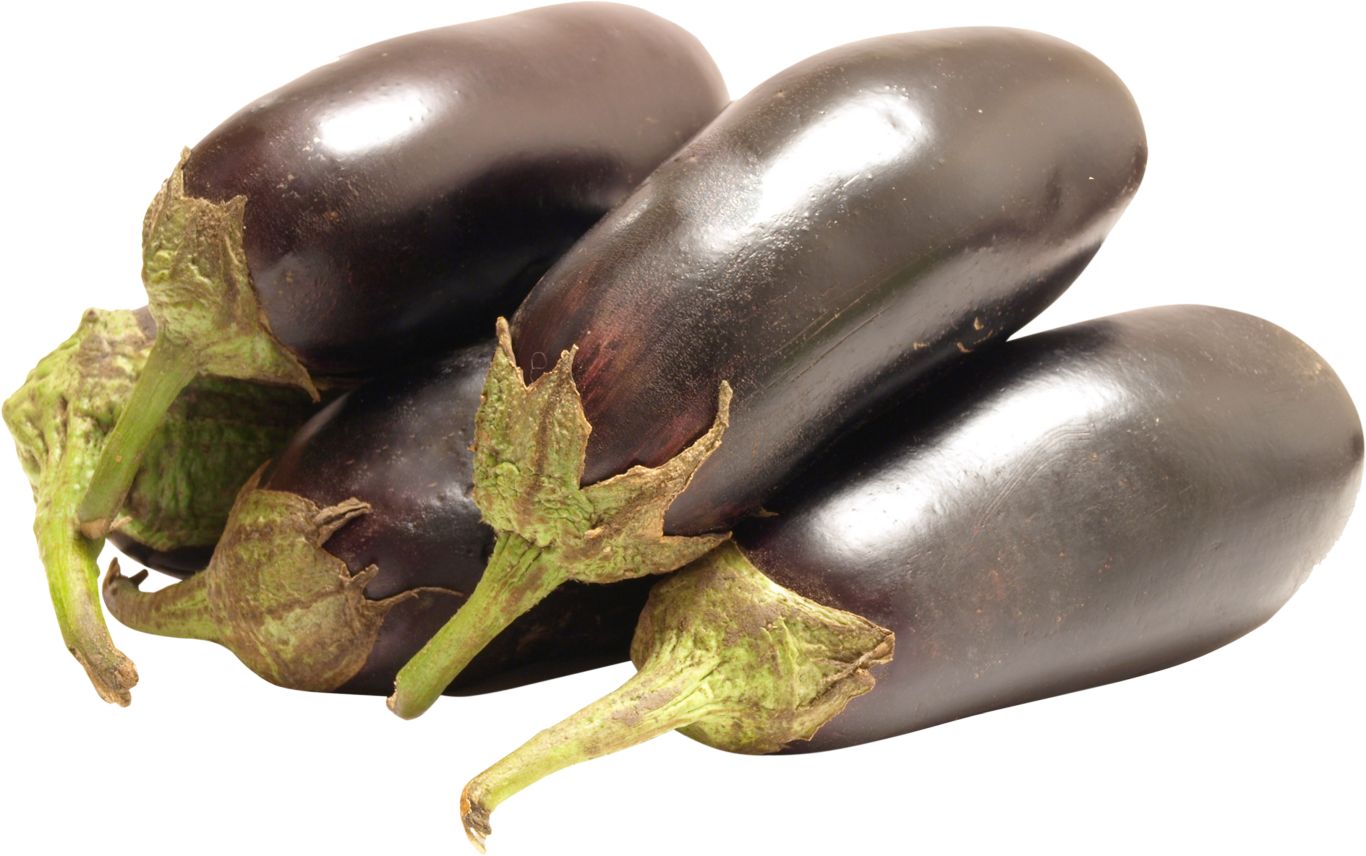 Eggplants PNG images free download    图片编号:2764