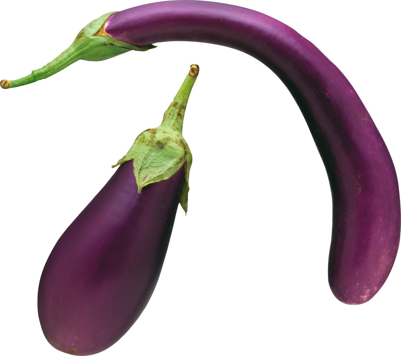 Eggplant PNG images free download    图片编号:2767