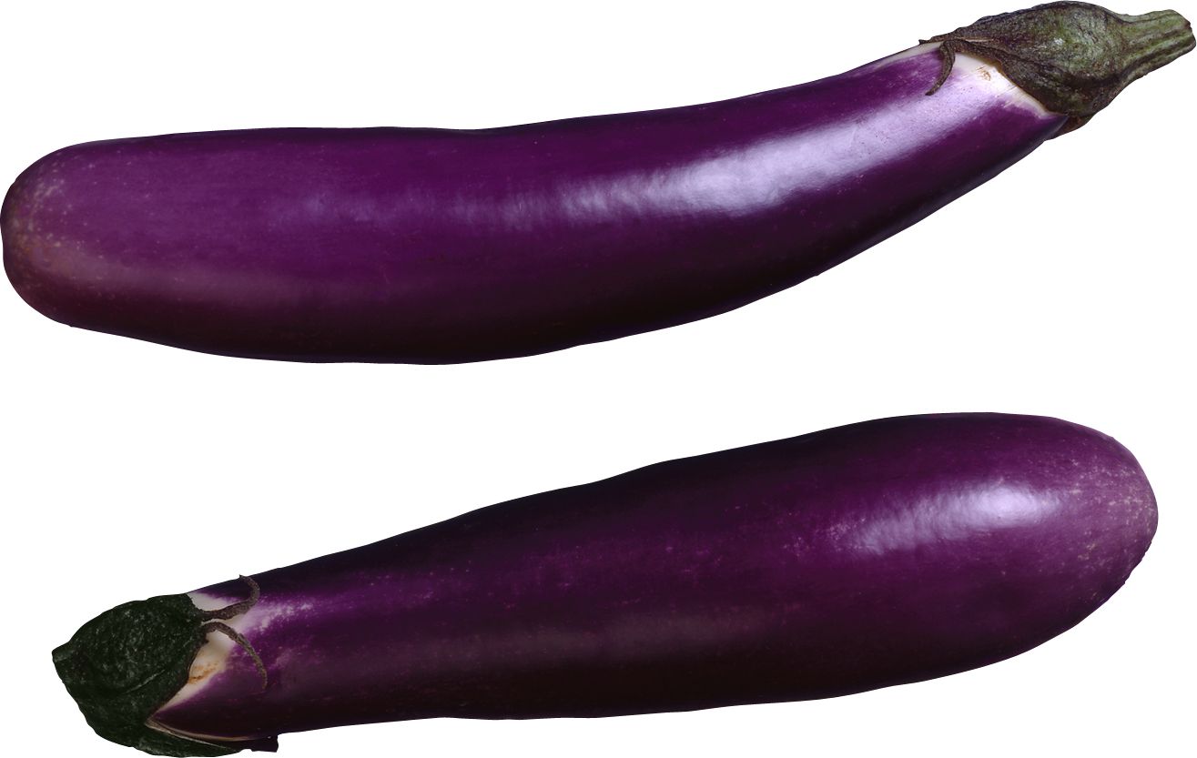 Eggplant PNG images free download    图片编号:2768