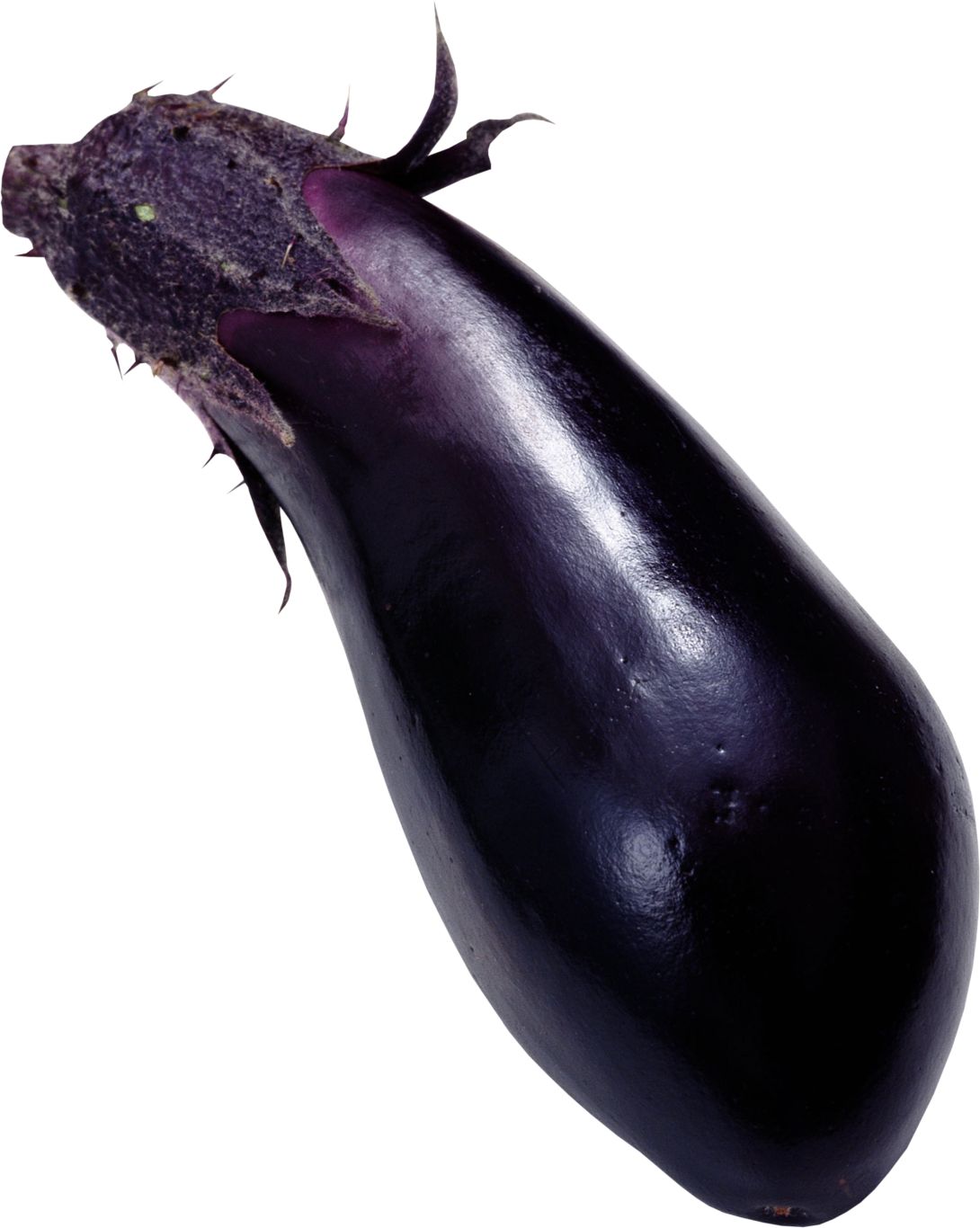 Eggplant PNG images free download    图片编号:2769